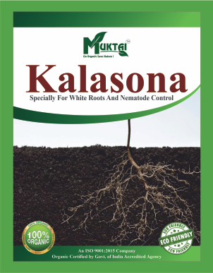 Kalasona