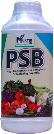 PSB