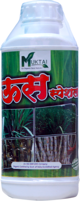 Sugarcane Special