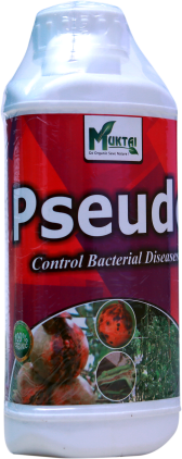 Pseudo