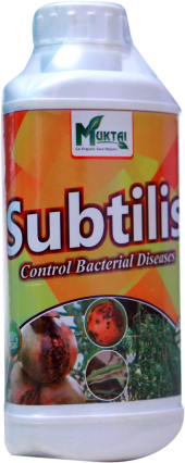 Subtilis