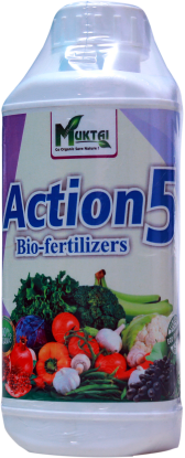 Action 5