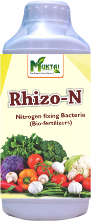 Rhizo-N